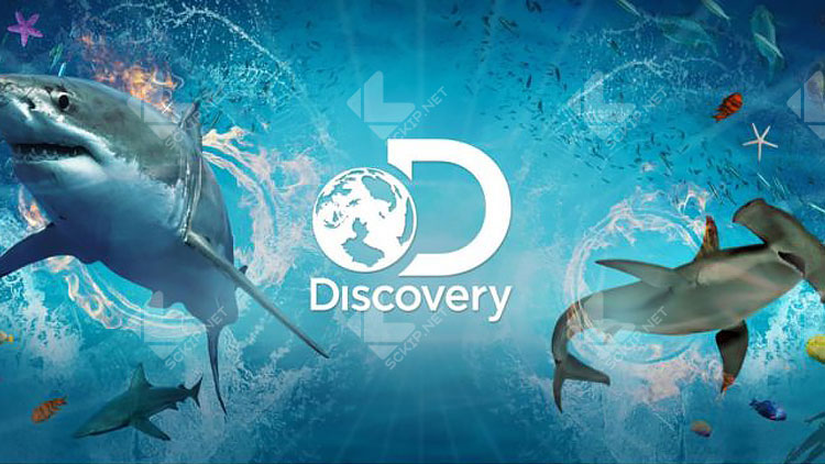 DISCOVERY